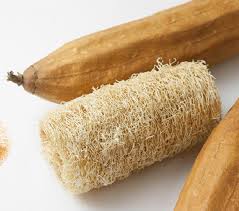 Bucha Vegetal Pura - Inteira ou Cortada · 15 cm